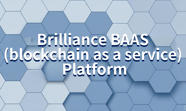 Blockchain Cases